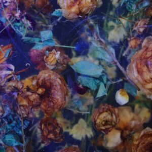 Pendientes de Botón con Flores Silvestres Encapsuladas